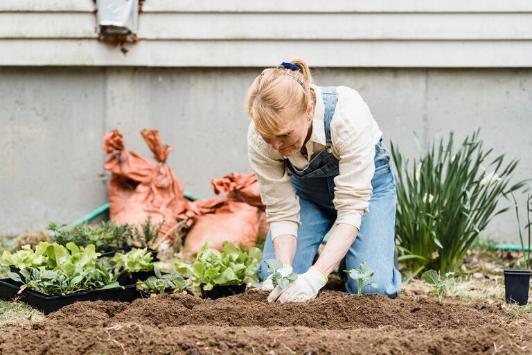 Gardening Projects That Add Gentle Movement to Your Day